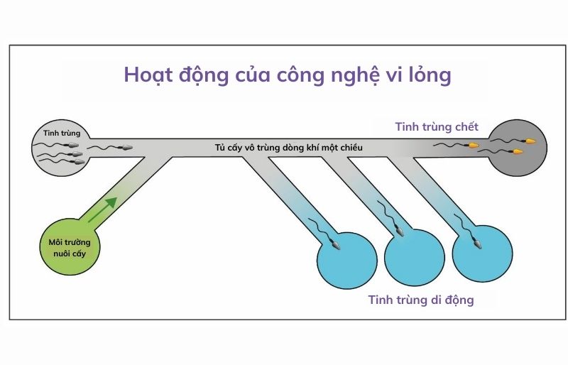 Hoạt động của công nghệ vi lỏng