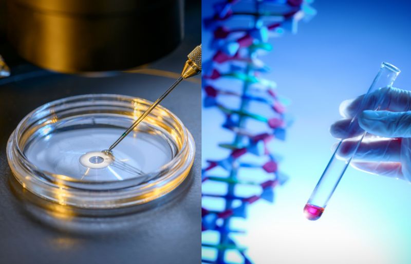 IVF kết hợp với xét nghiệm di truyền tiền làm tổ (PGT)