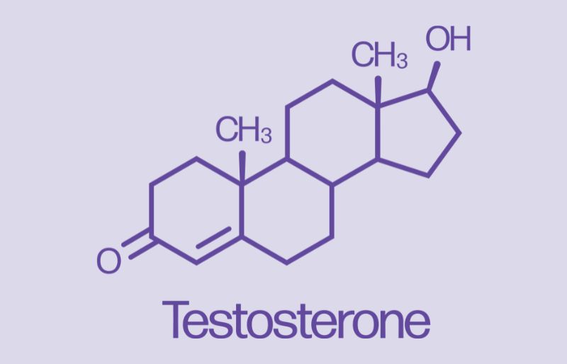 Kích thích tinh hoàn sản xuất testosterone
