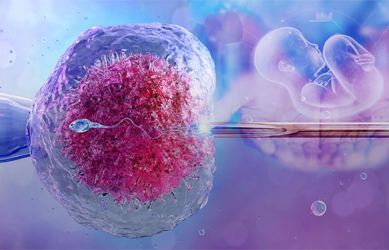 Tại sao IVF lại có chi phí cao?