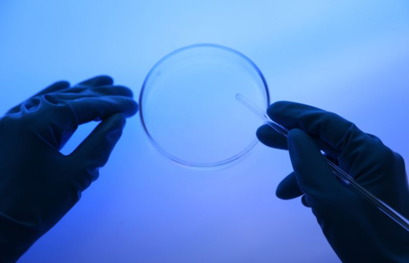 IVF sàng lọc phôi IVF sàng lọc phôi