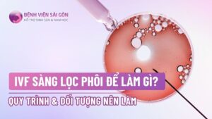 IVF sàng lọc phôi để làm gì? Quy trình và đối tượng nên làm